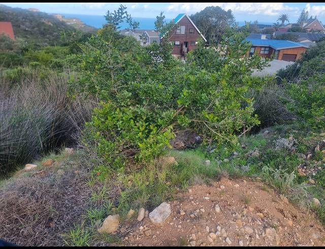 910M² VACANT LAND FOR SALE IN DANA BAY